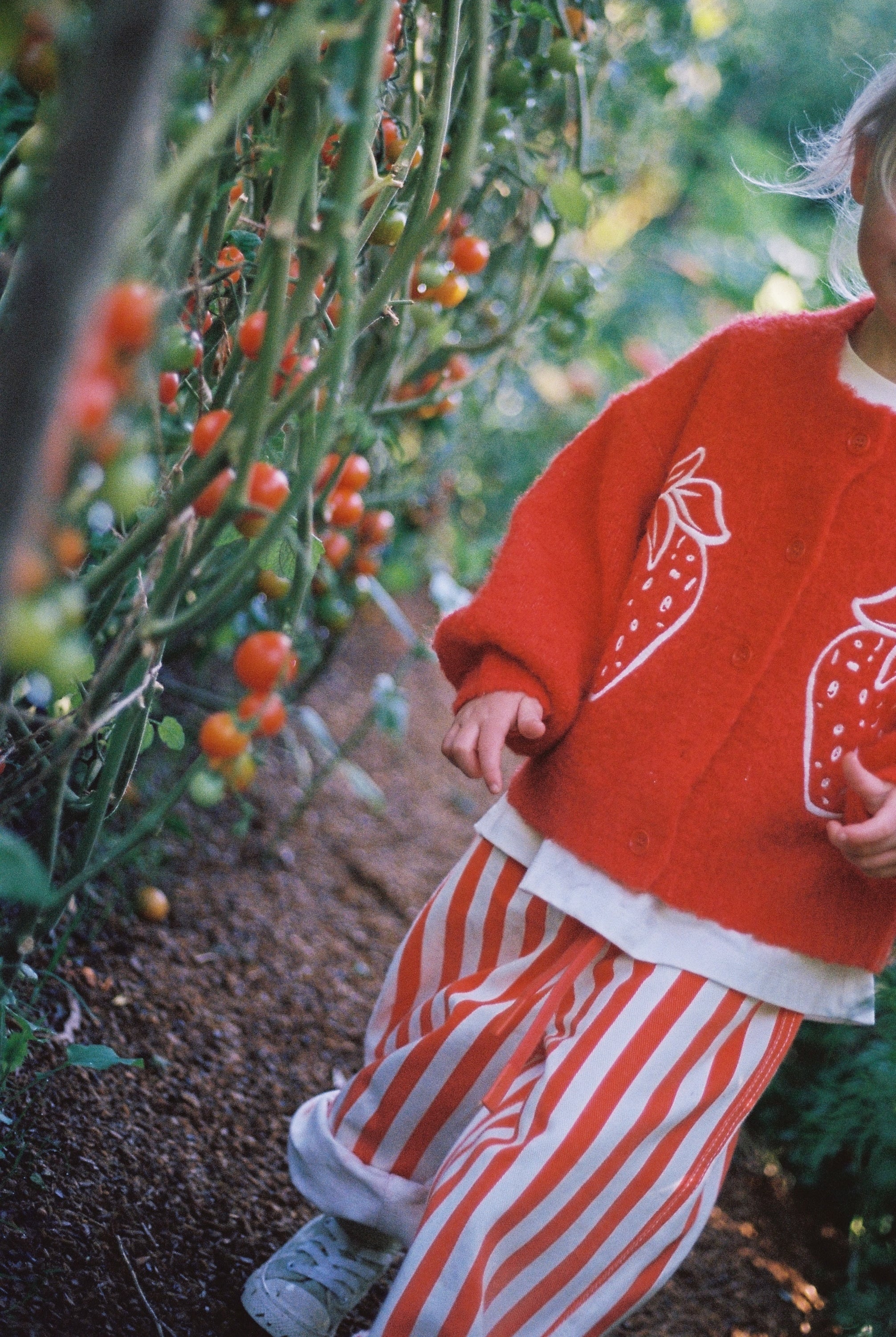 Fraise Boucle Knit Cardigan